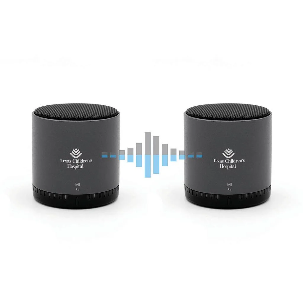 Soundstream TWS
