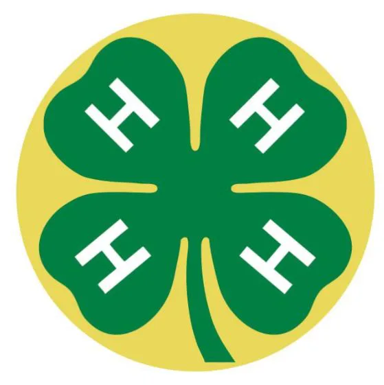 4H Texture Tone® Label