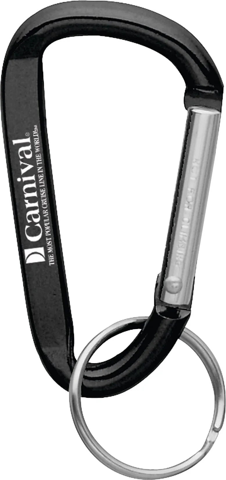 Small Carabiner Key Ring