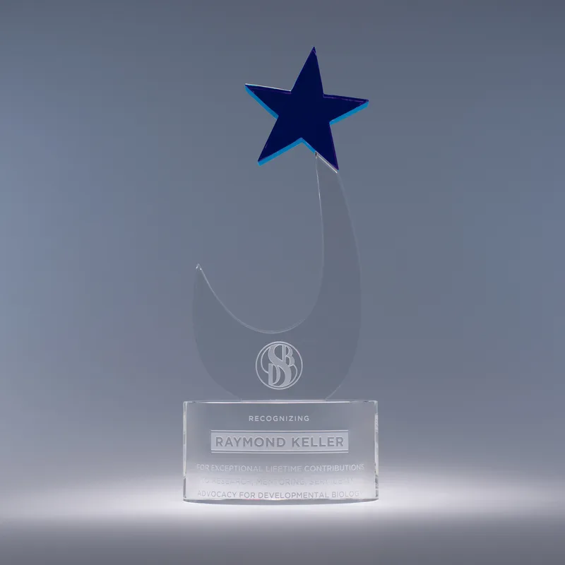 Blue Sensation Award