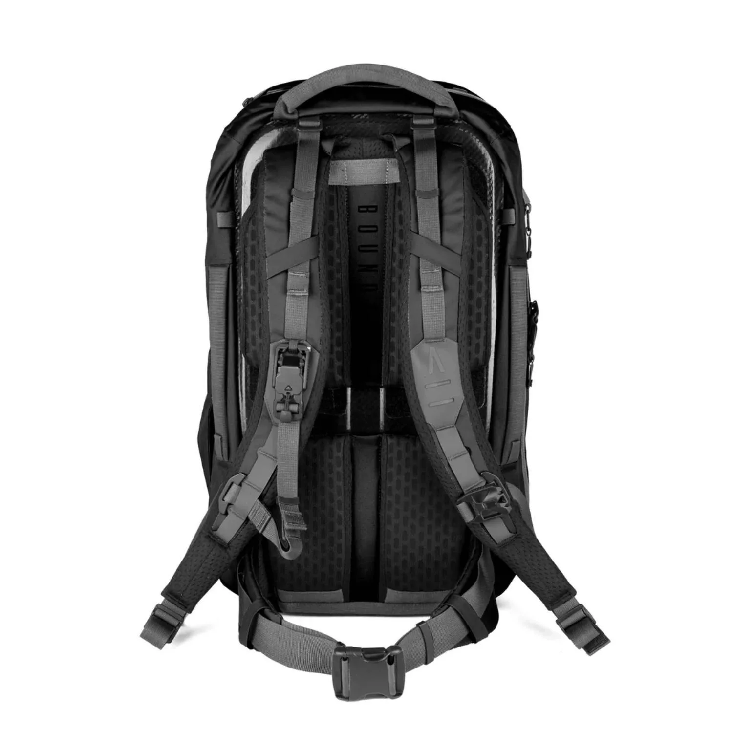 Black Back