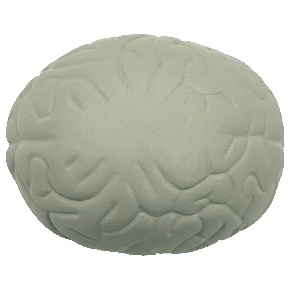 Brain