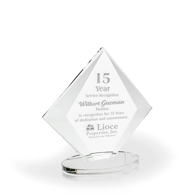 Mentor Award, Large