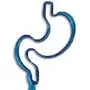 Stomach Inkbend Standard, Bent Pen