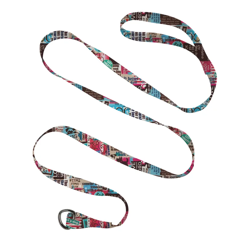 Pet Slip Leash view 2