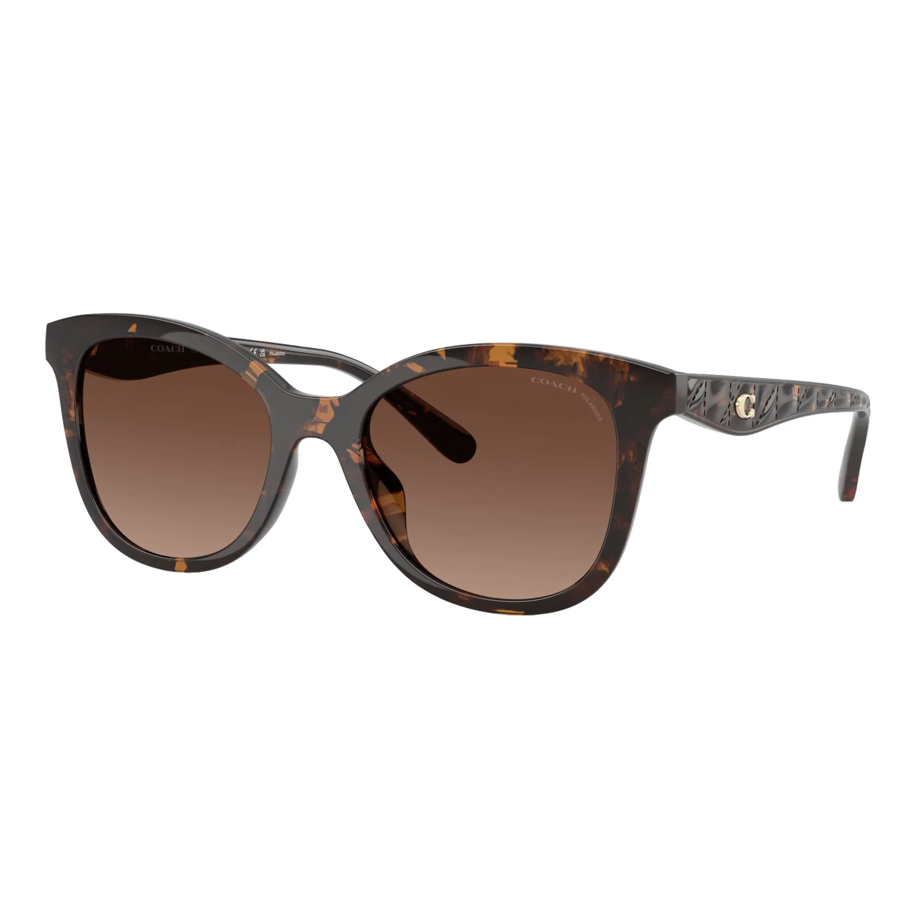 Coach Women's Polarized HC8419U Sunglasses