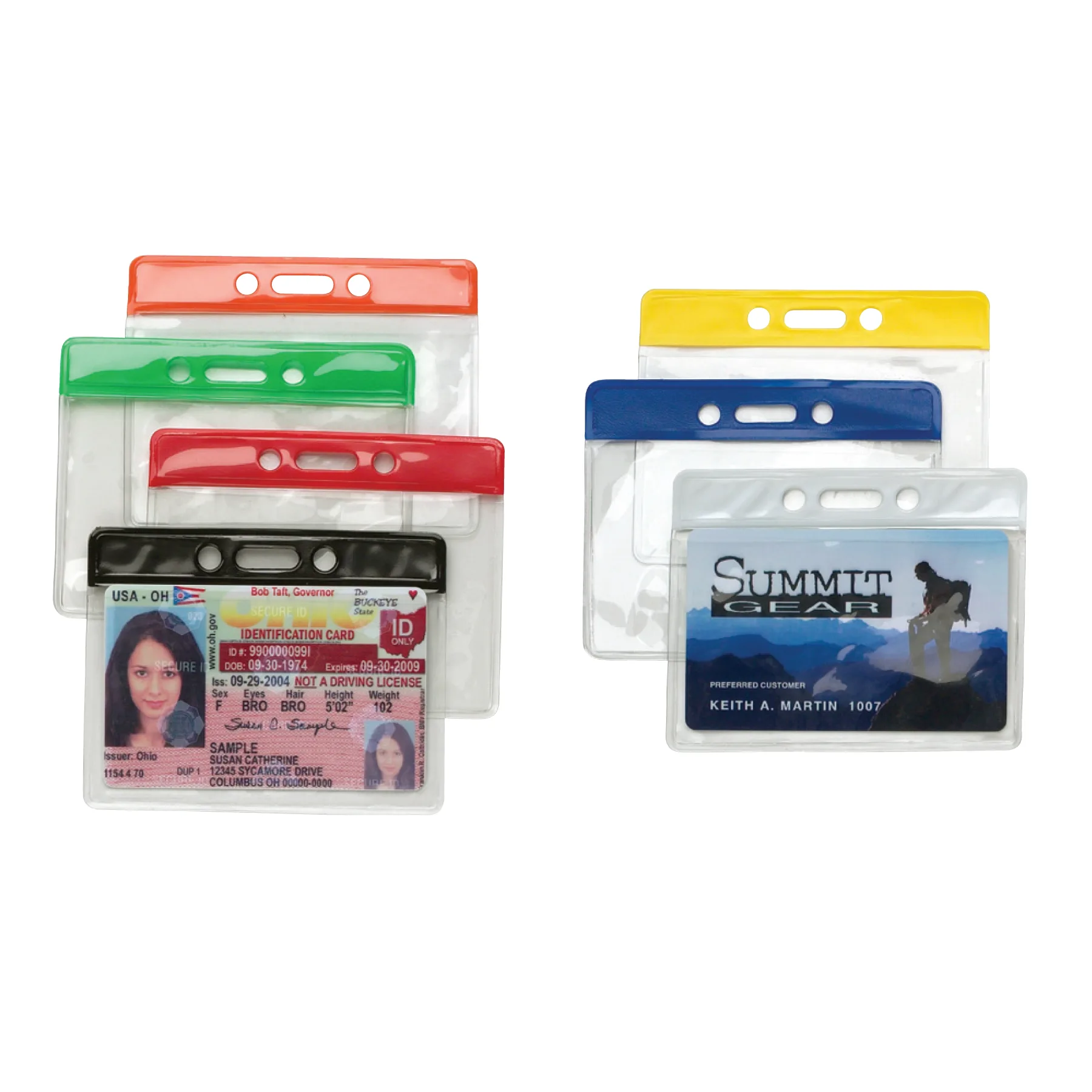 Color Top Horizontal Card Holder