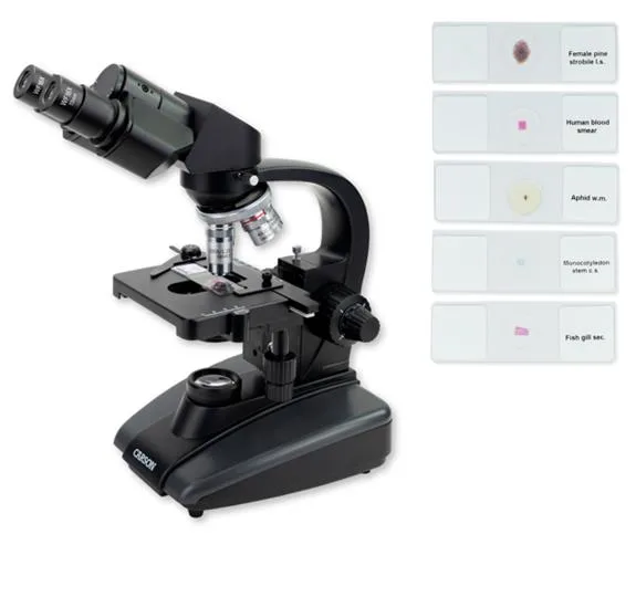 Carson Advanced Compound Microscope Bundle w/5 Prepared Slides