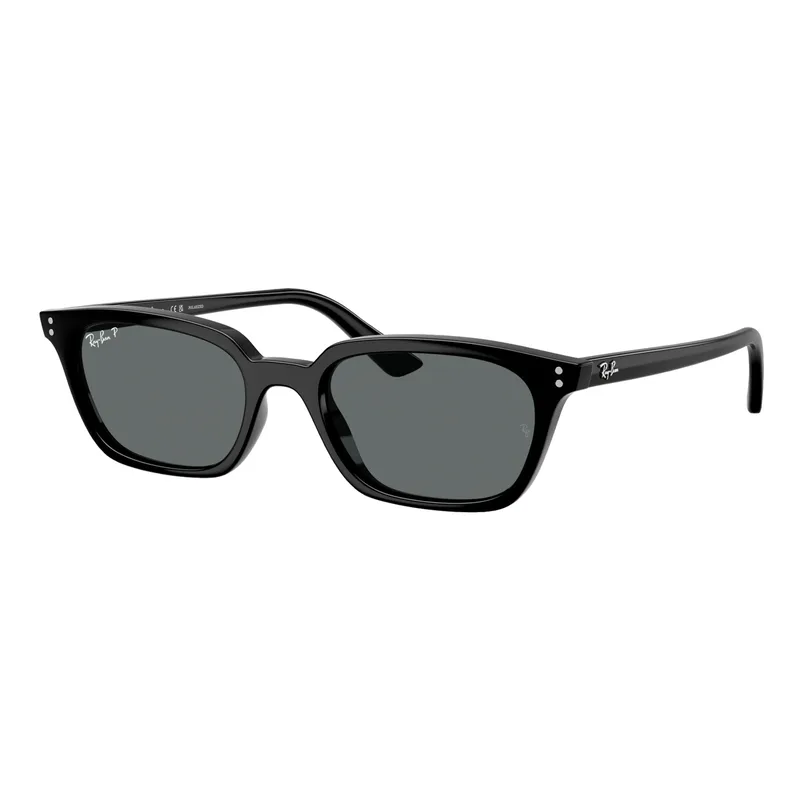 Ray-Ban Polarized Zaya Bio-Based Sunglasses