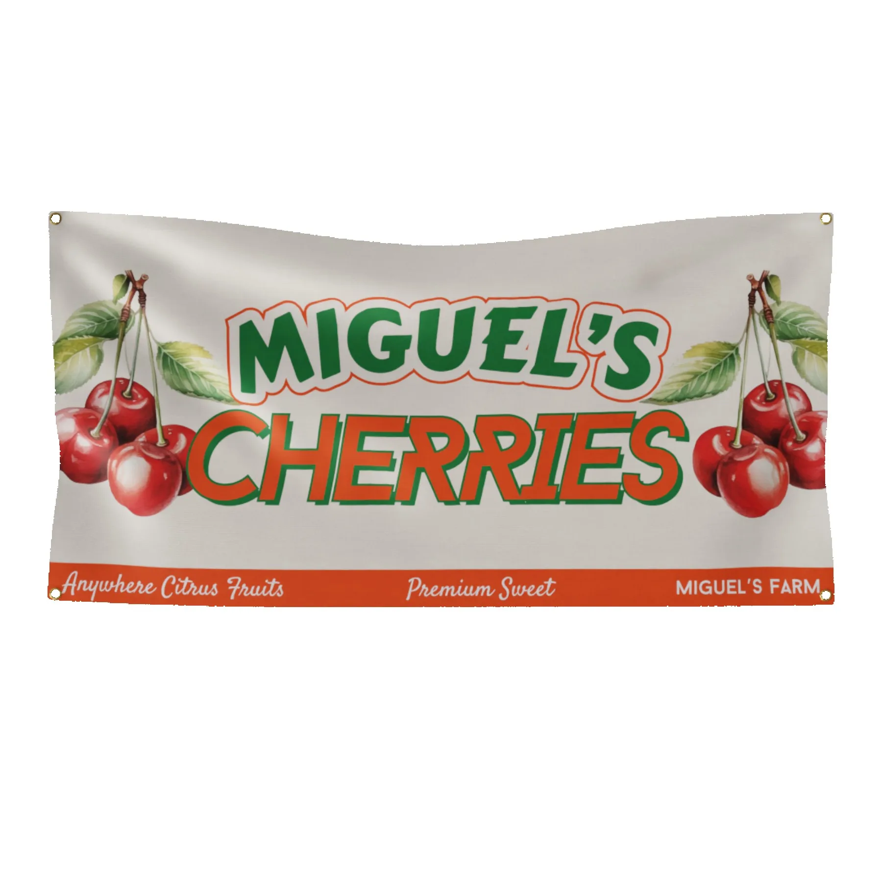 Custom Digital Vinyl Banner with Grommets (Indoor) view 2