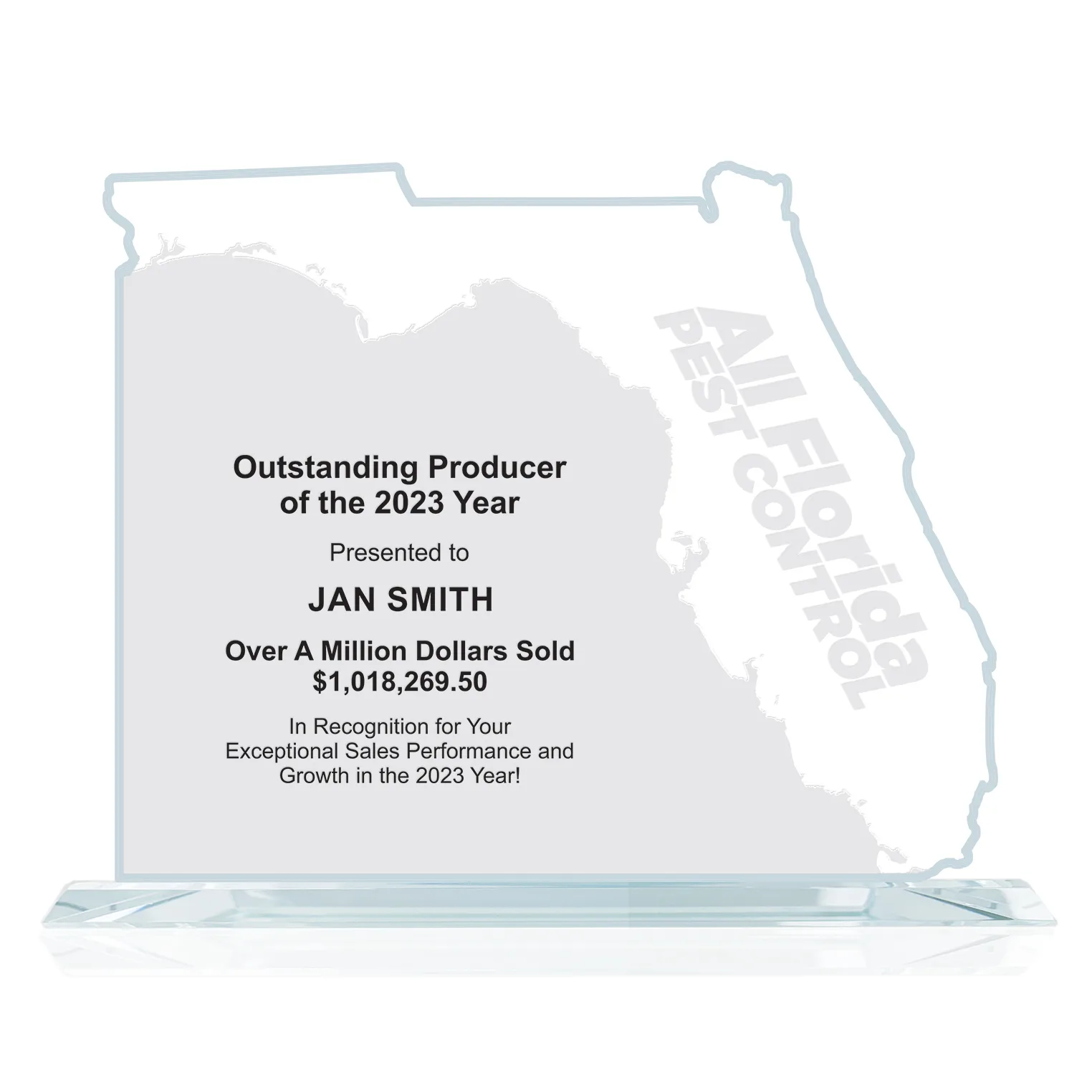 State Map Award -  Florida