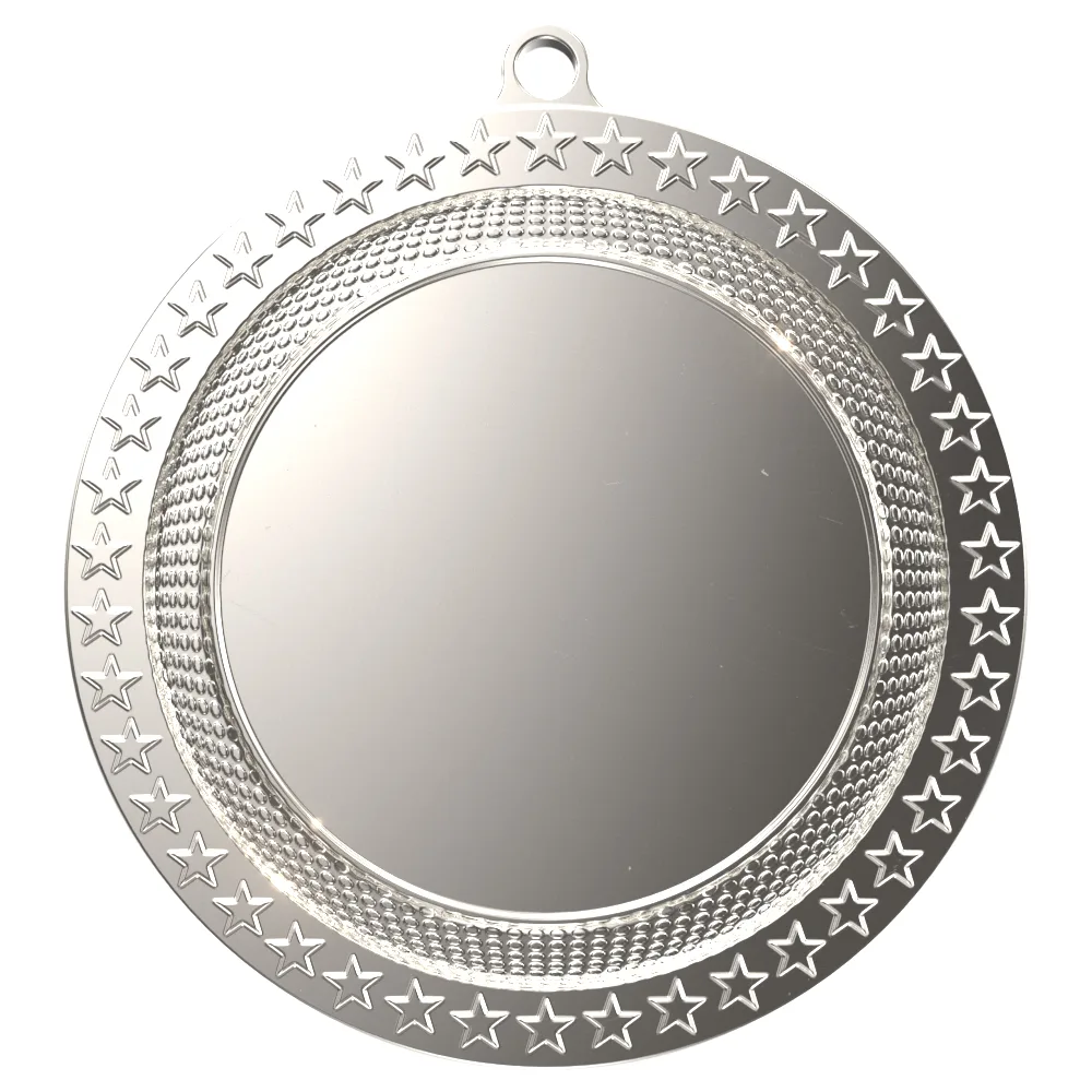 Bright Silver/Gold