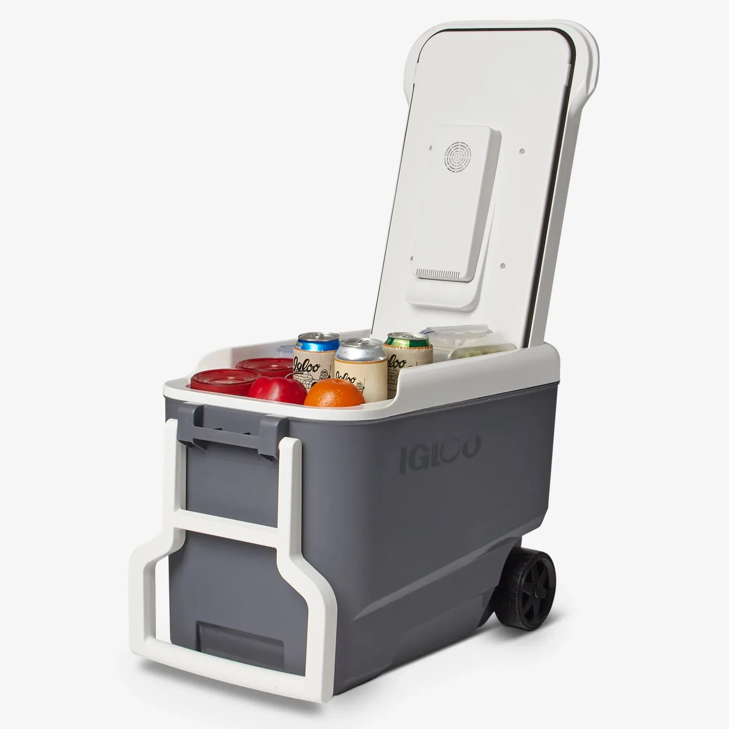 Igloo Versatemp 35 Qt Wheeled Electric Cooler view 5