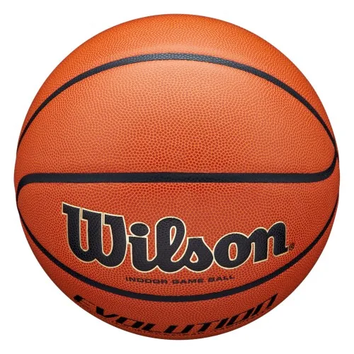 Wilson Evolution Basketball view 2