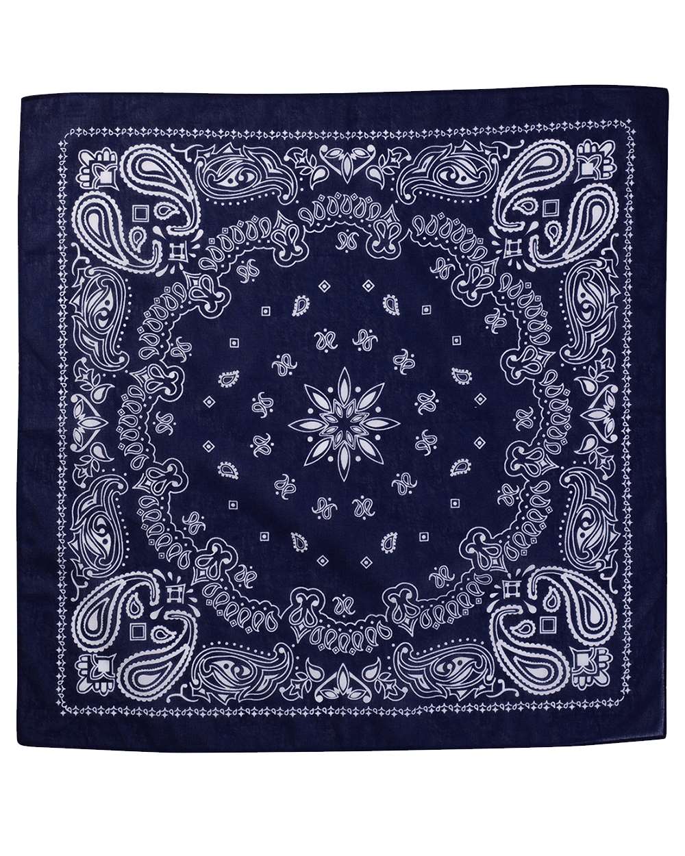 Navy Blue Paisley