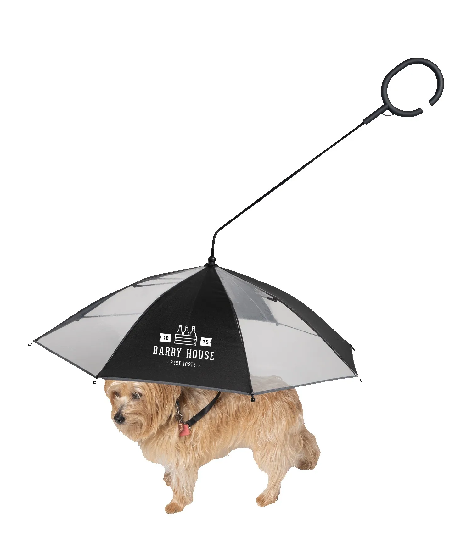 The Doggo Umbrella