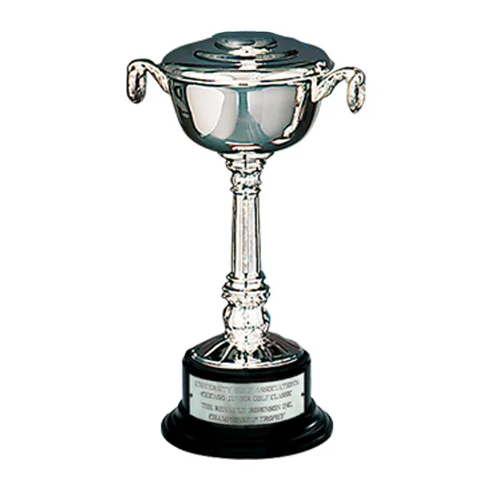 Silver-Plated Pedestal Bowl Cup