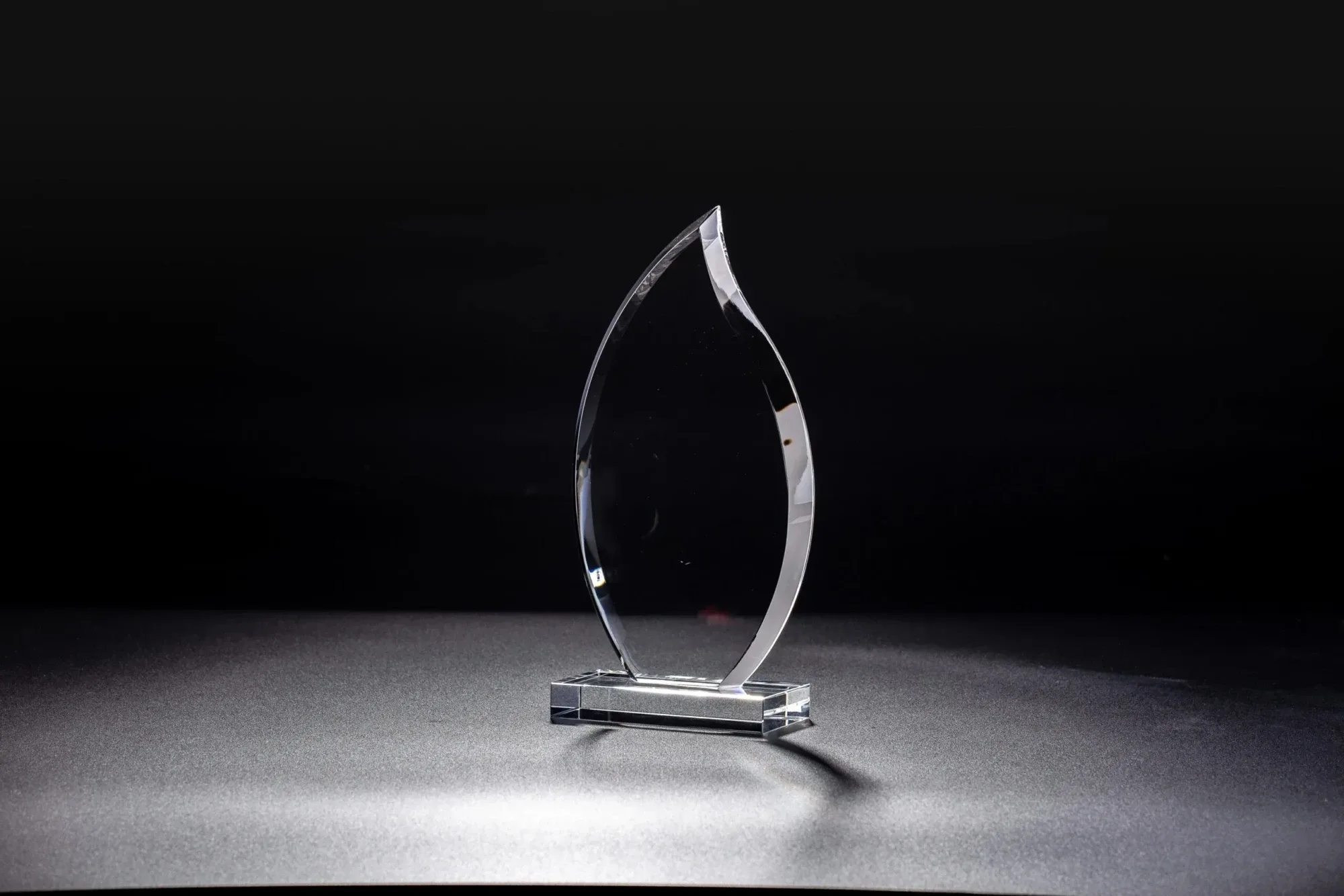 Foliage Award view 3