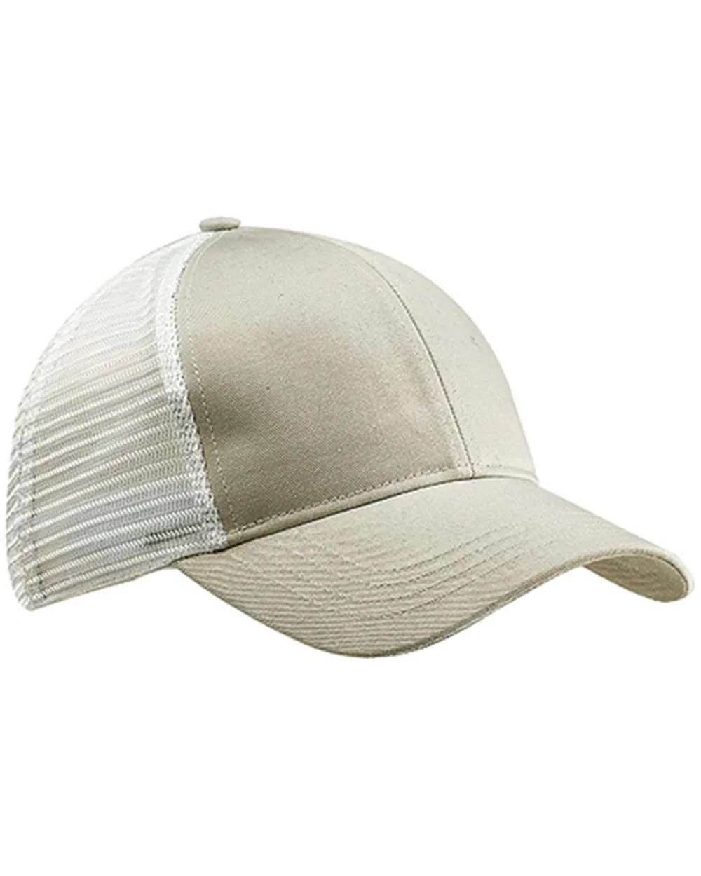 Dolphin/ White