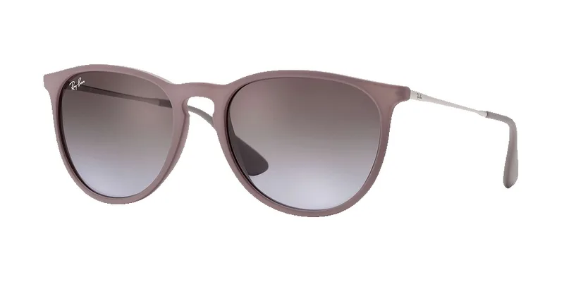 Ray-Ban Erika Classic Sunglasses