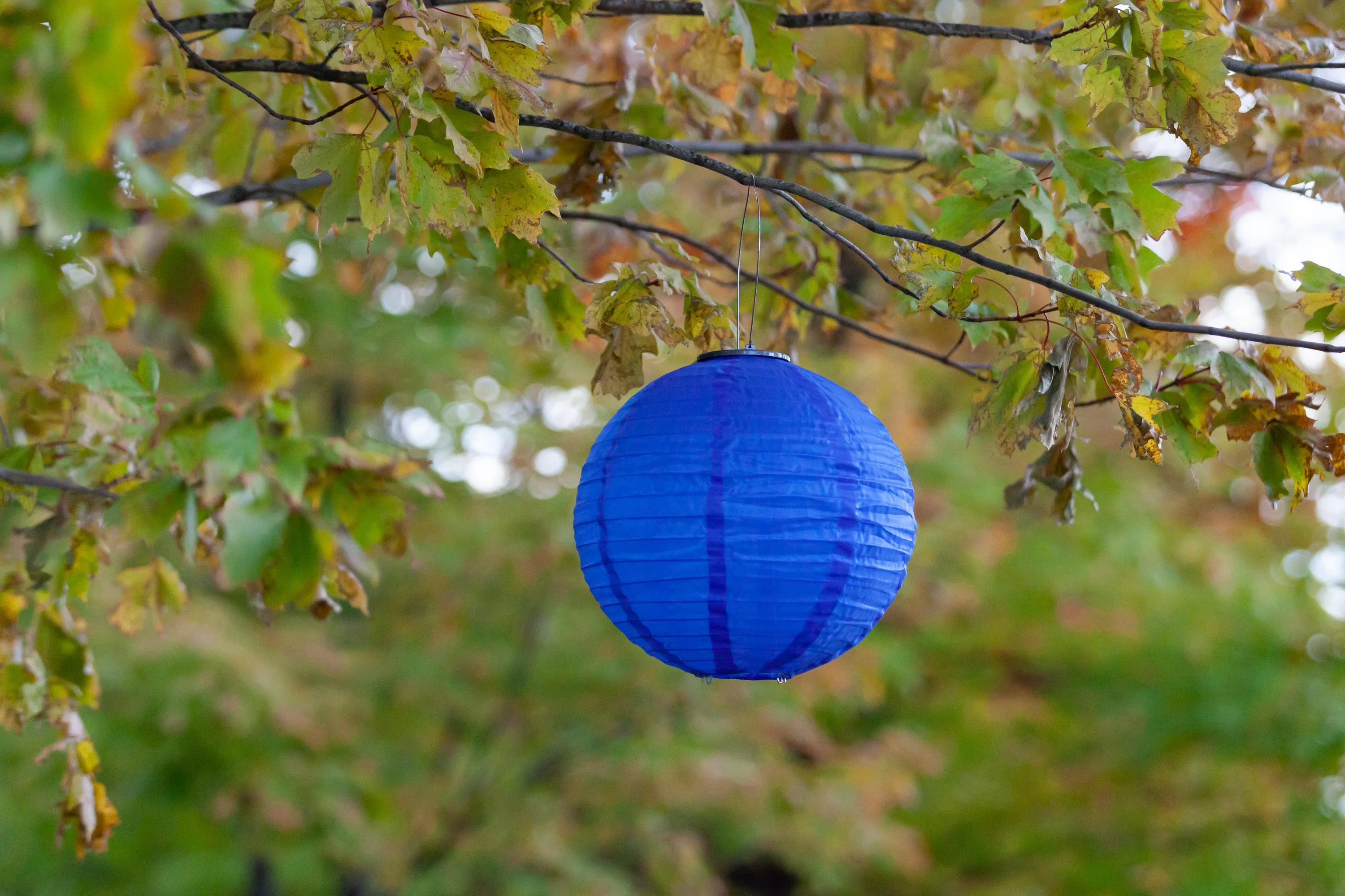 Allsop Home & Garden Festival Lantern - Cerulean Blue