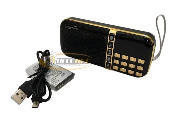Supersonic Portable Bluetooth Speaker-FM Radio, LED Display, USB/SD Inputs