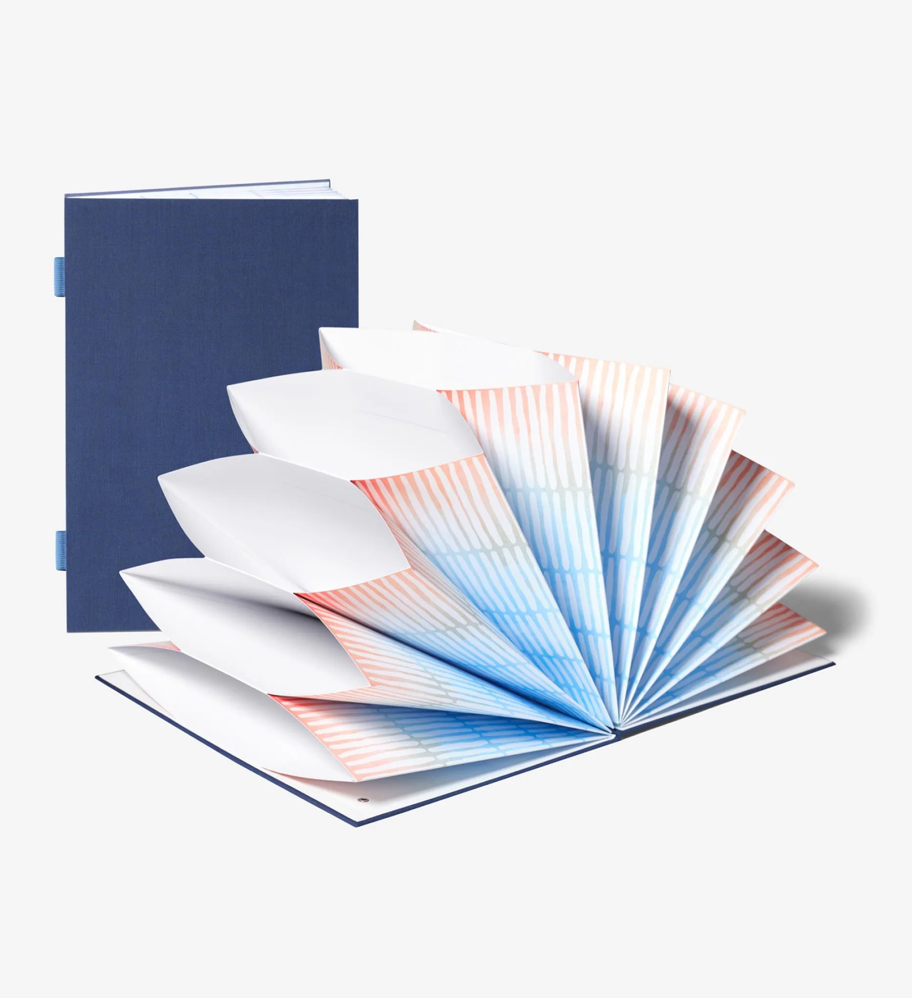 Savor Fan Folio Document Organizer - Something Blue Exterior, Colorful Interior