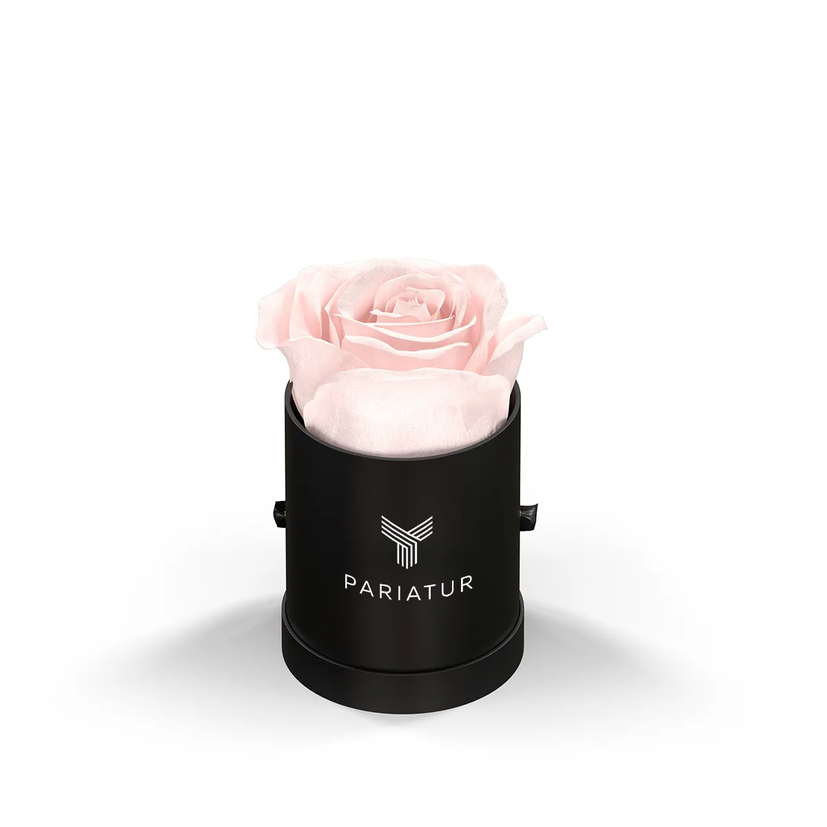 93920 BLKBOX BLUSH Silkscreen