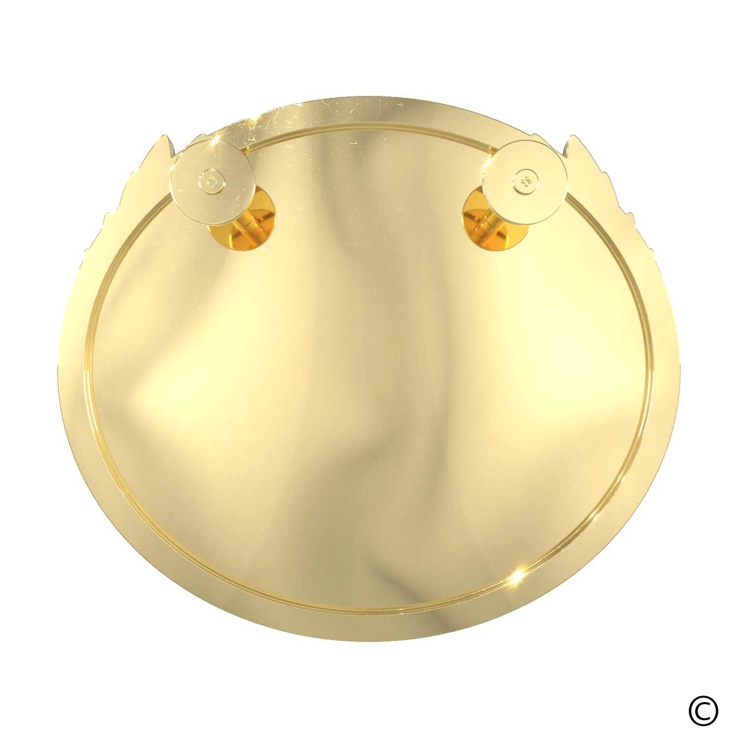 Bright Gold/Silver Back