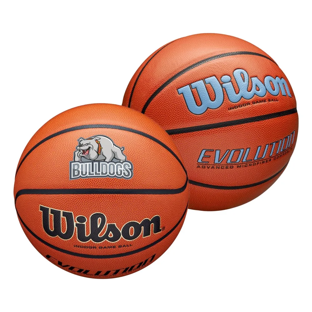 Wilson Evolution Basketball