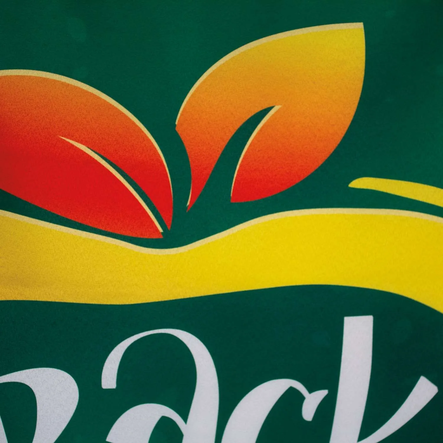 3' x 6' Satin Banner view 3