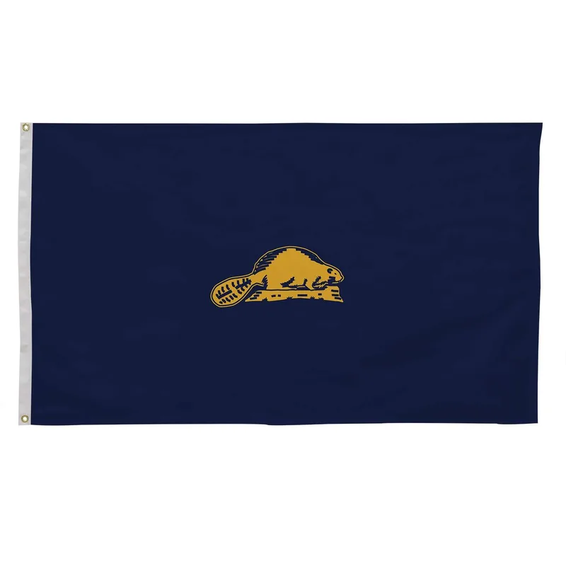 3' x 5' Oregon State Flag Double-Sided view 3