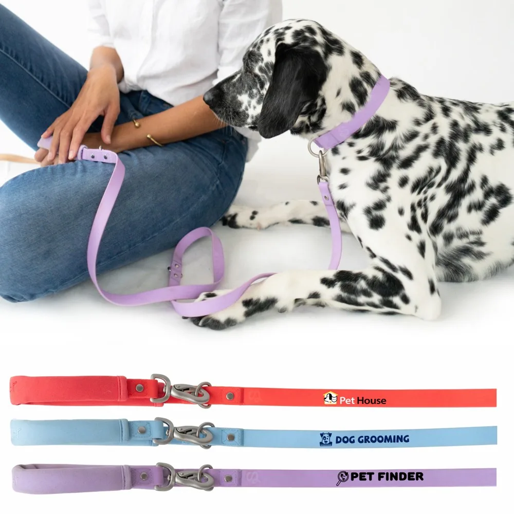 Springland Dog Leash