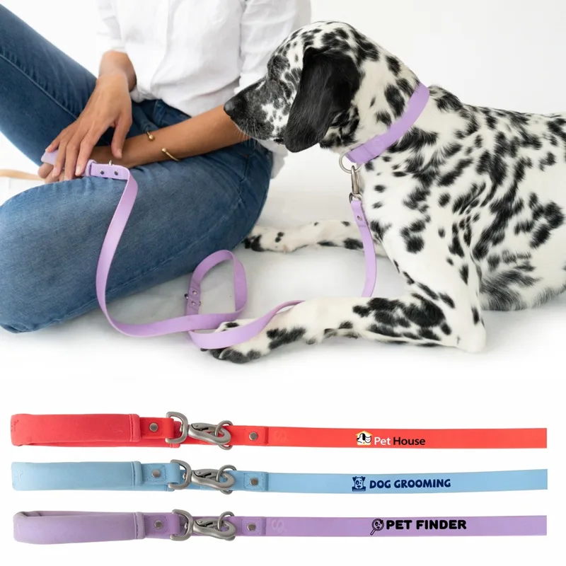 Springland Dog Leash
