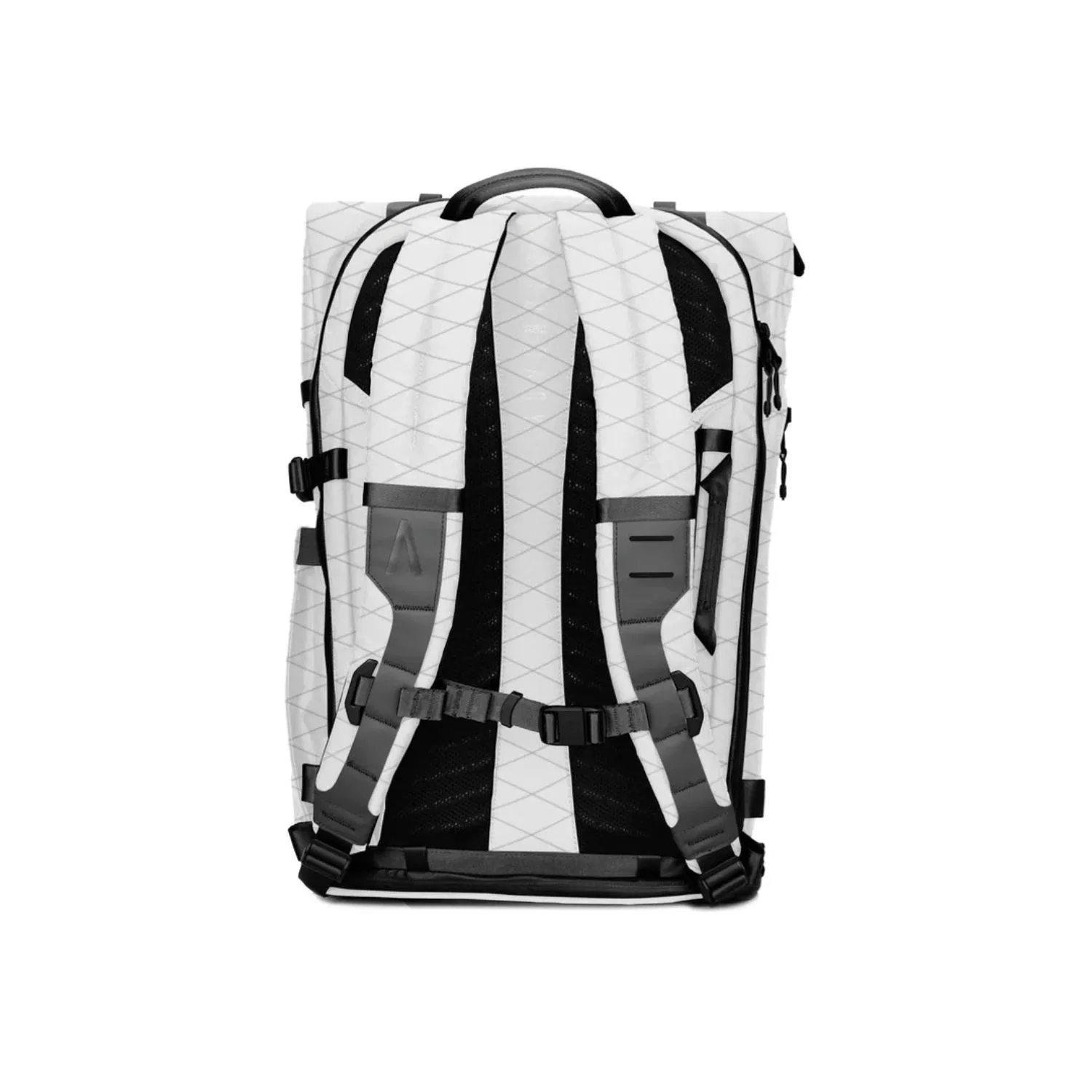 Black/White Back