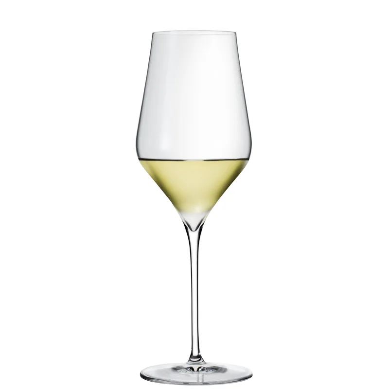 Wine Enthusiast Wine Enthusiast Pirouette Universal Wine Glass
