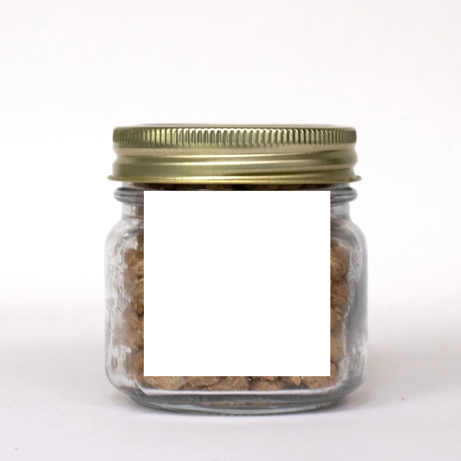 Pint Jar w/ Square Magnet Pet Fill view 5
