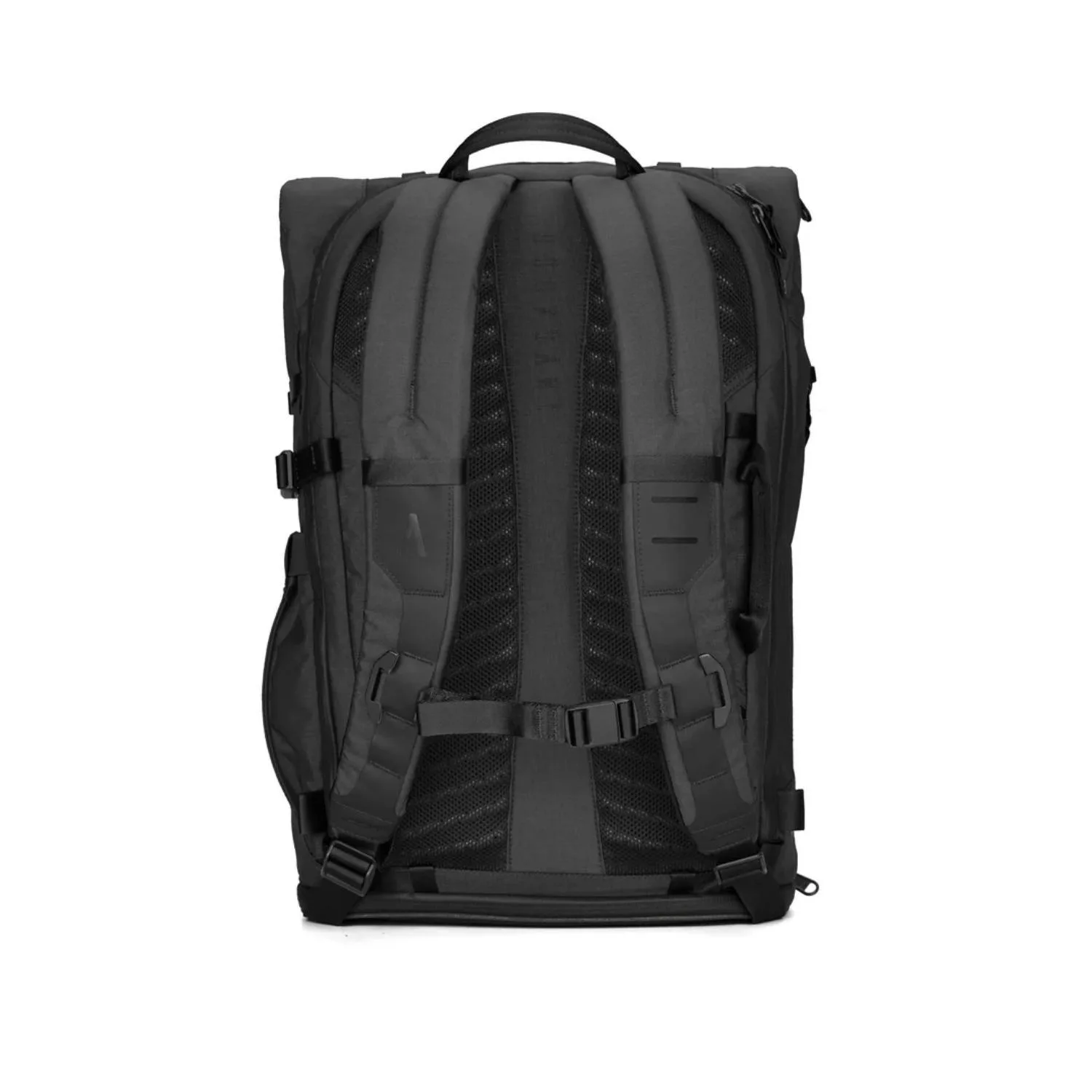 Black Back