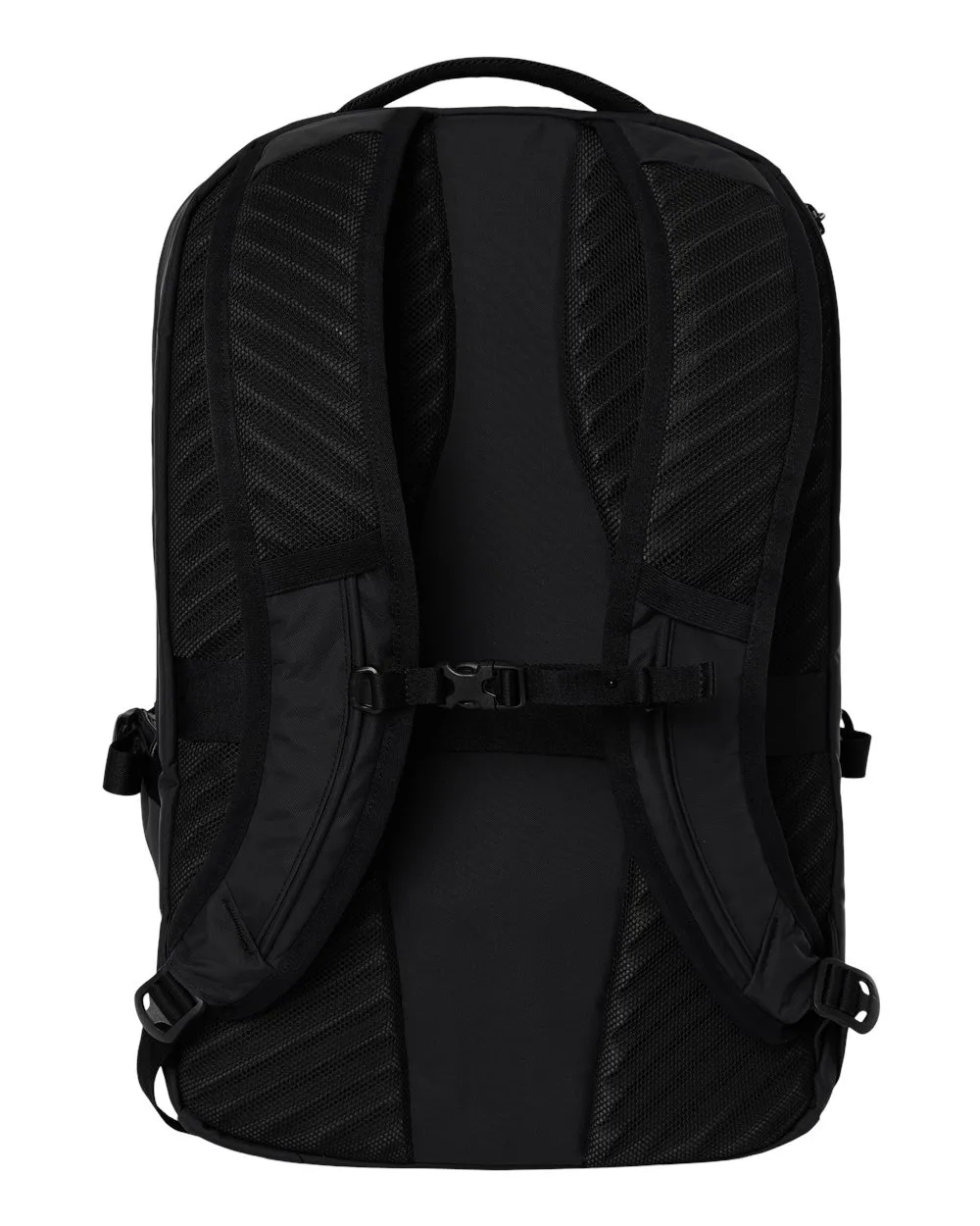 Black Back