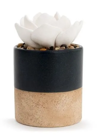 Demdaco (AMC) Succulent Oil Diffuser - Navy