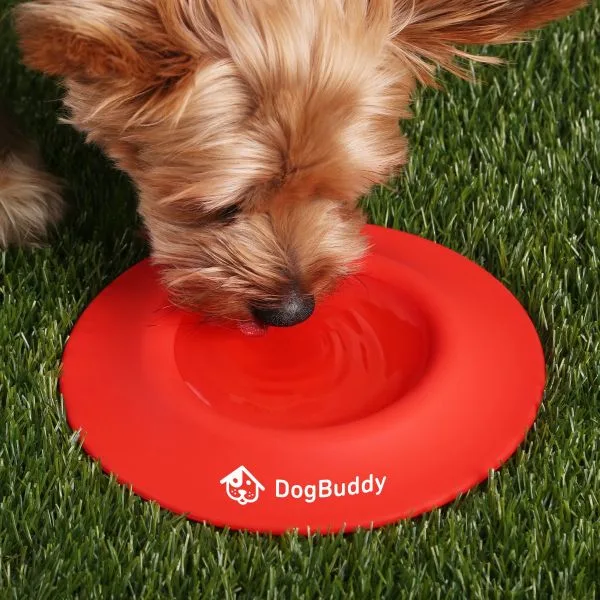 2-in-1 Silicone Pet Flyer and Drinking Bowl