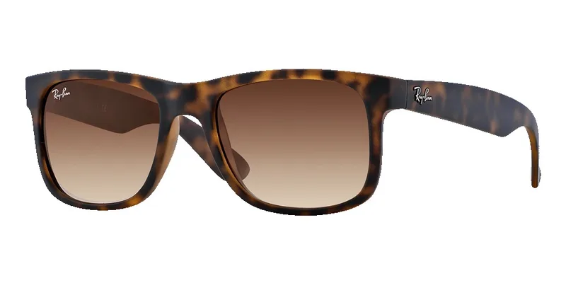 Ray-Ban Justin Classic Sunglasses