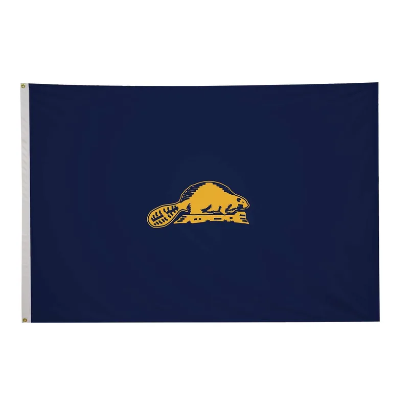 4' x 6' Oregon State Flag Double-Sided view 3