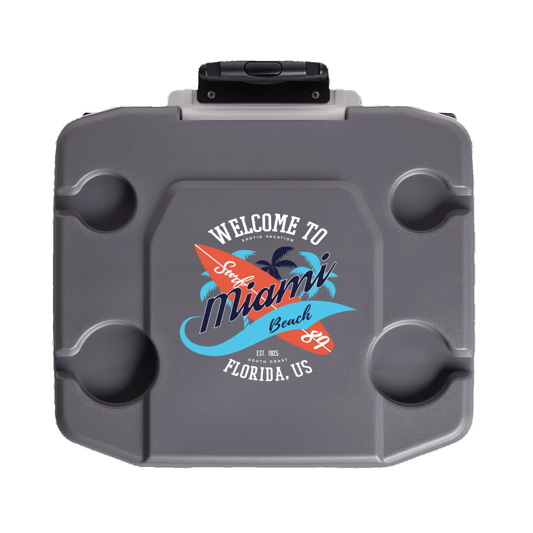 Indigo Blue/Meteorite White Logo Top View