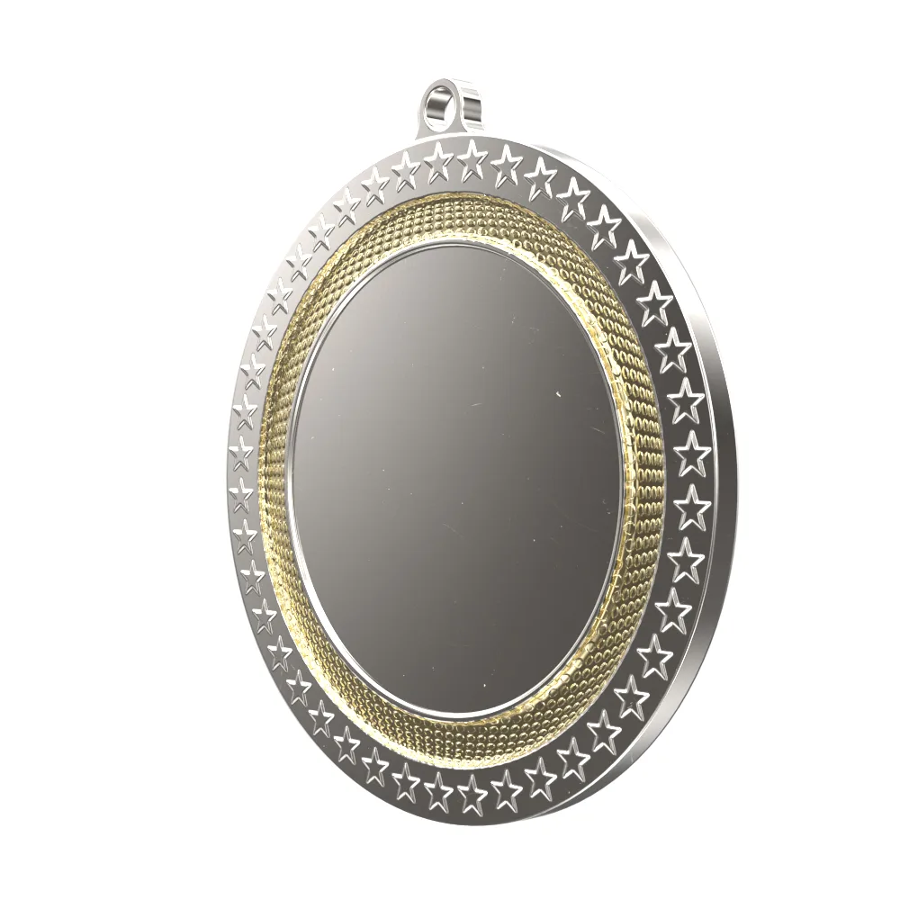 Bright Silver/Gold