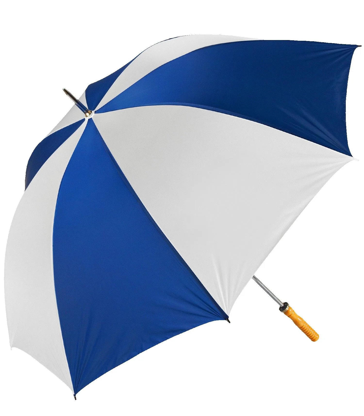 The Booster Umbrella view 2