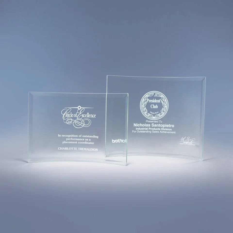9" Bent Glass Award