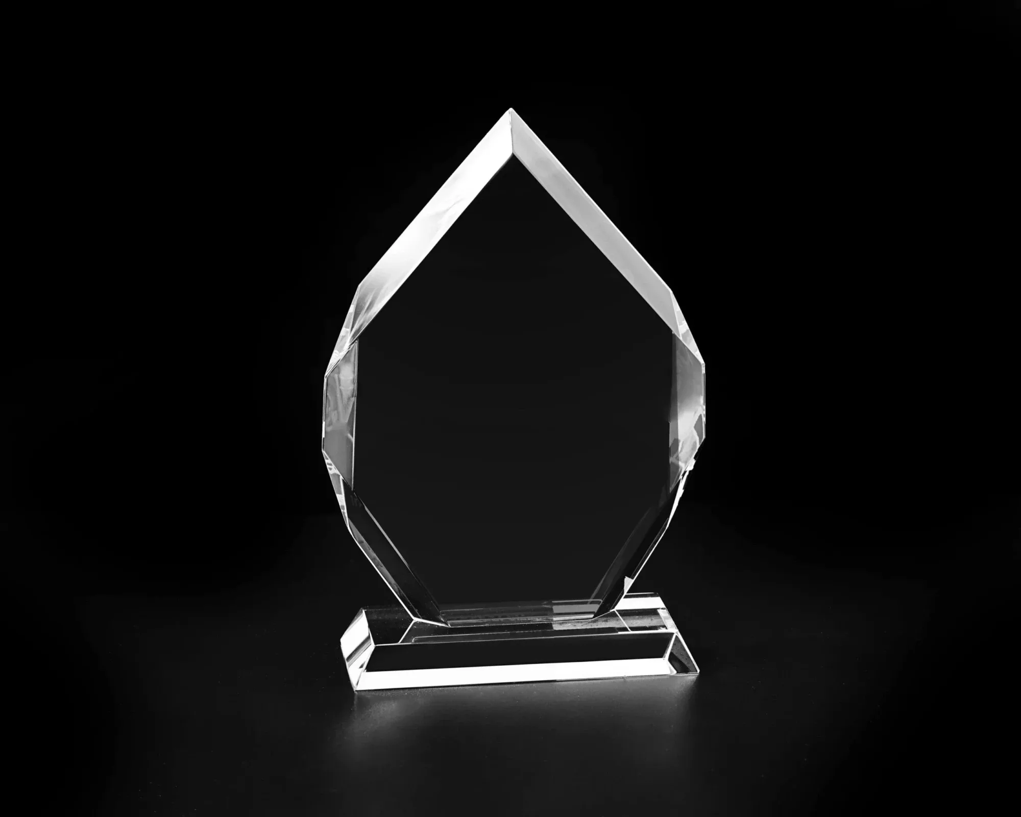 Ariana Diamond Award view 2