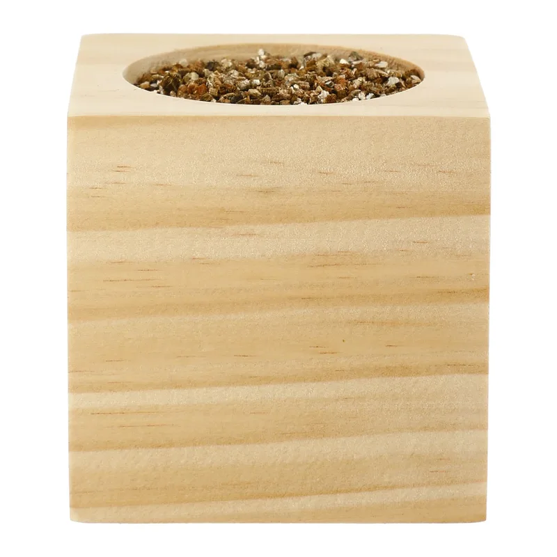 Sprigbox Cilantro Grow Kit view 2