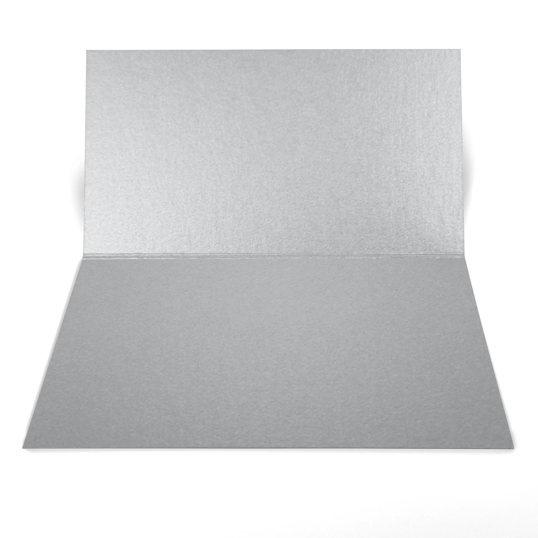 Silver Blank